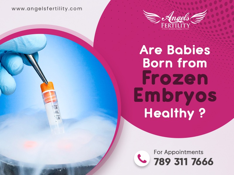Are Babies Born from Frozen Embryos Healthy?