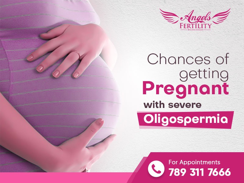 Chances of Getting Pregnant with Severe Oligospermia